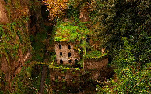 Castle Ruins Overgrowth HD, ธรรมชาติ, ปราสาท, ห้องแถว, ซากปรักหักพัง, วอลล์เปเปอร์ HD HD wallpaper