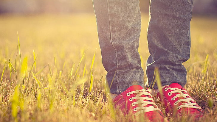 รองเท้าผ้าใบส้นเตี้ยสีแดงคู่เท้ารองเท้าผ้าใบพื้นหญ้า, วอลล์เปเปอร์ HD