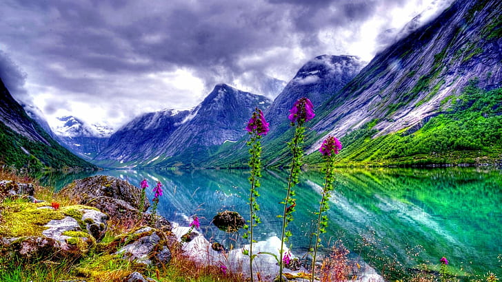 Naturlandskap River Valley blommor Sky Mountain Bild för skrivbordsunderlägg HD Wallpaper Pc Tablet Mobil 1920 × 1080, HD tapet