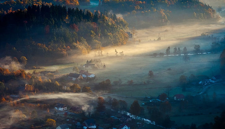 vila de concreto branco, pintura de vila coberta de nevoeiro, névoa, manhã, vila, floresta, outono, campo, natureza, paisagem, HD papel de parede
