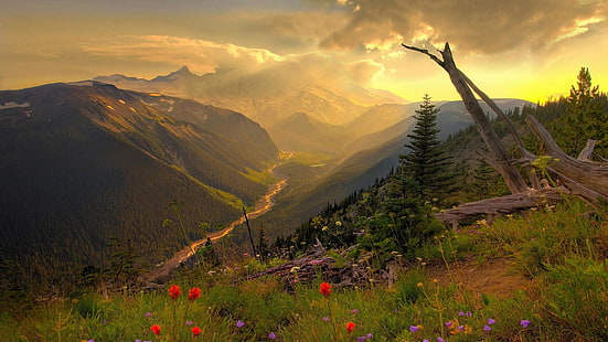 landschaft, tal, landschaft, berg, himmel, berglandschaft, bergkette, feld, wildblume, morgen, morgendämmerung, baum, gras, wiese, HD-Hintergrundbild HD wallpaper
