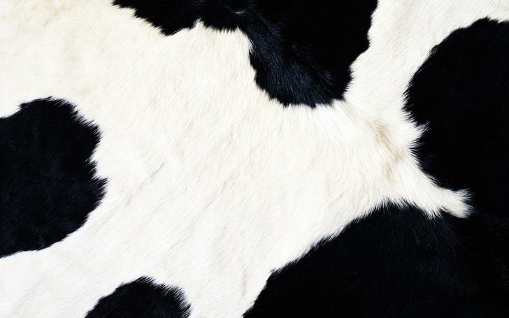 Cow fur, white and black textile, digital art, 1920x1200, HD wallpaper