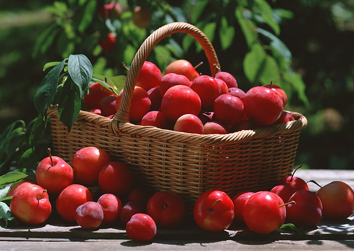 bunch of red apples, cherry plum, plum, basket, HD wallpaper