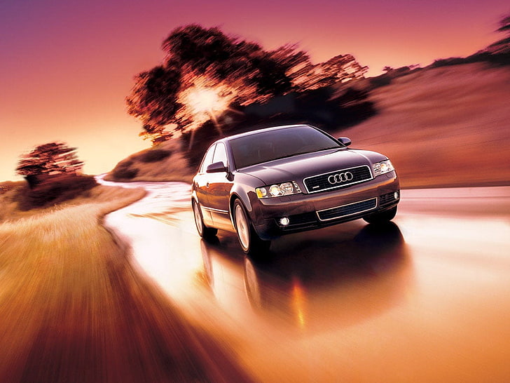Audi A4 Front Side, carro Audi cinza, carros, Audi, céu vermelho, carro prateado, árvores, carro, HD papel de parede