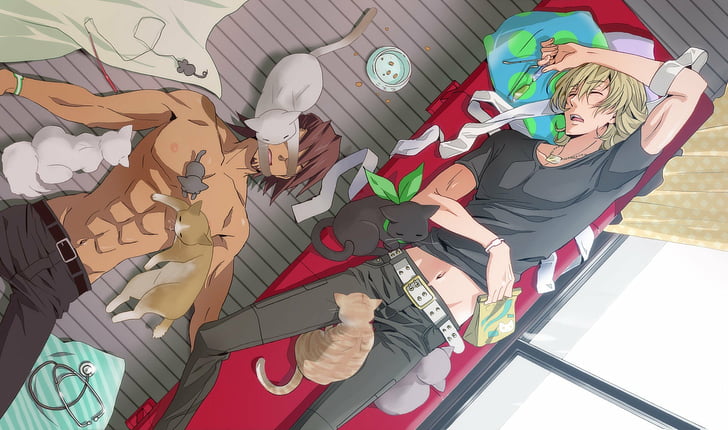 anime, anak laki-laki, kelinci, kucing, shounen ai, sedang tidur, harimau, yaoi, Wallpaper HD