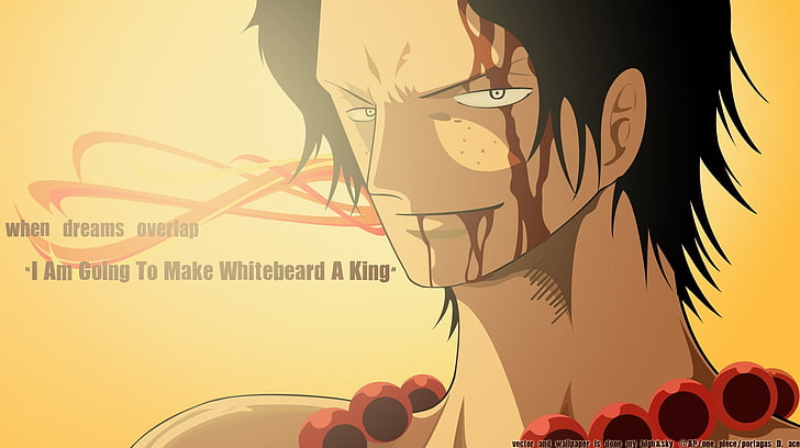 One Piece, anime, Portgas D. Ace, HD wallpaper | Wallpaperbetter