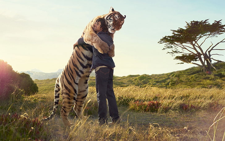 brauner und schwarzer Tiger, Männer, Tiger, Sonnenlicht, Tiere, Umarmen, Kerle, Natur, HD-Hintergrundbild