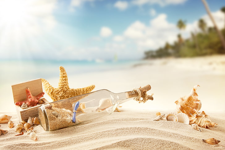 botella de vidrio transparente, arena, mar, playa, verano, sol, estancia, orilla, concha, sol, mensaje, vacaciones, tropical, estrella de mar, mensaje en una botella, botella, conchas marinas, Fondo de pantalla HD