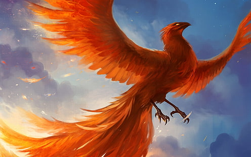 Феникс HD, илюстрация на червена птица, фантазия, феникс, HD тапет HD wallpaper
