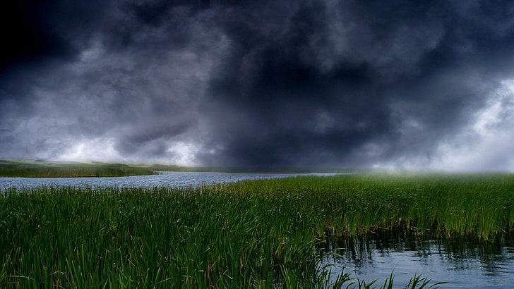 river, reeds, clouds, nature, sky, wetland, HD wallpaper