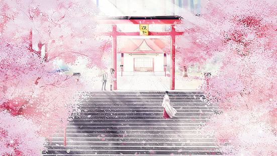 분홍색 벚꽃, 노라 가미, 벚꽃, 벚꽃, 신사, 이키 히요리, HD 배경 화면 HD wallpaper