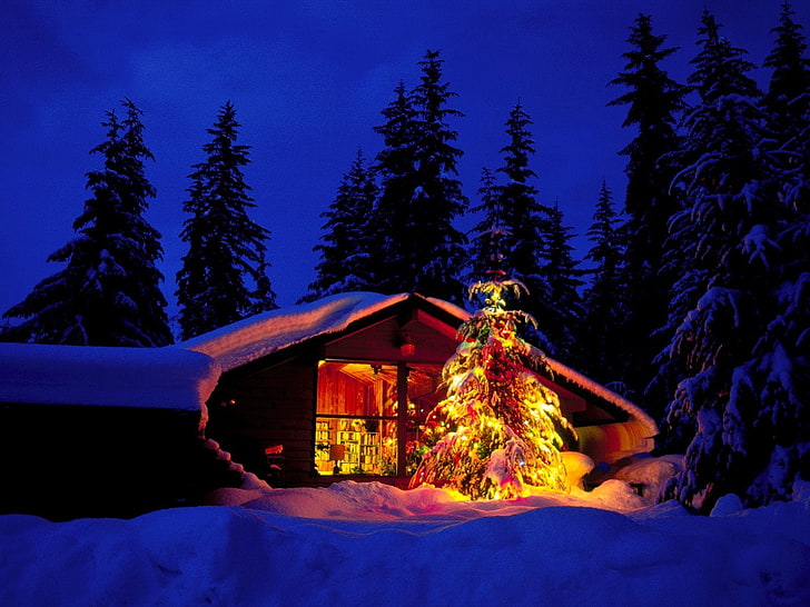 cabaña de madera marrón, año nuevo, navidad, árbol de pieles, casa, ventana, tipo, incendios, Fondo de pantalla HD