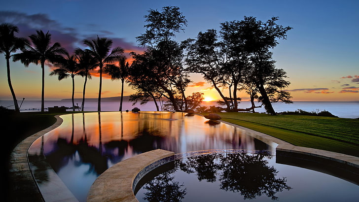 Sommer, Resort, Palmen, Pool, Lebensstil, reflektiert, HD-Hintergrundbild