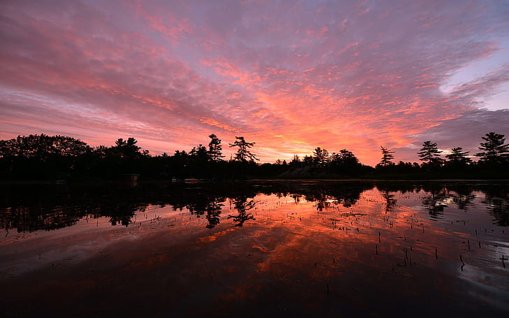 Canada, Ontario, lago, alberi, tramonto serale, riflesso d'acqua, Canada, Ontario, lago, alberi, sera, tramonto, acqua, riflesso, Sfondo HD