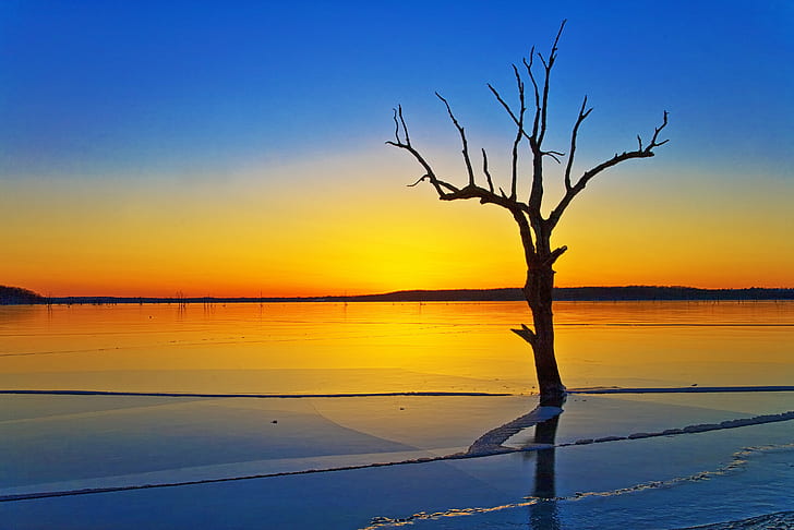 photography of leafless tree near body of water while golden hour, Tree, ice, photography, body of water, golden hour, Sunset  Lake, Clinton Lake, Lake  Lawrence, Lawrence, Kansas, Vivid, Striking, Patrick, sunset, nature, sea, dusk, sky, sunrise - Dawn, landscape, HD wallpaper
