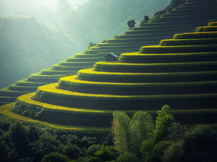 Beautiful Asian Landscape, rice terraces, Asia, Thailand, Travel, Nature, Beautiful, Landscape, Green, Mountain, Land, Mist, Tropical, Photography, Hillside, Rice, ecology, Vacation, terraces, rice terraces, Agriculture, Cultivation, crops, visit, viewpoint, tourism, location, rice fields, Rice crop, Ricefields, Paddy field, HD wallpaper