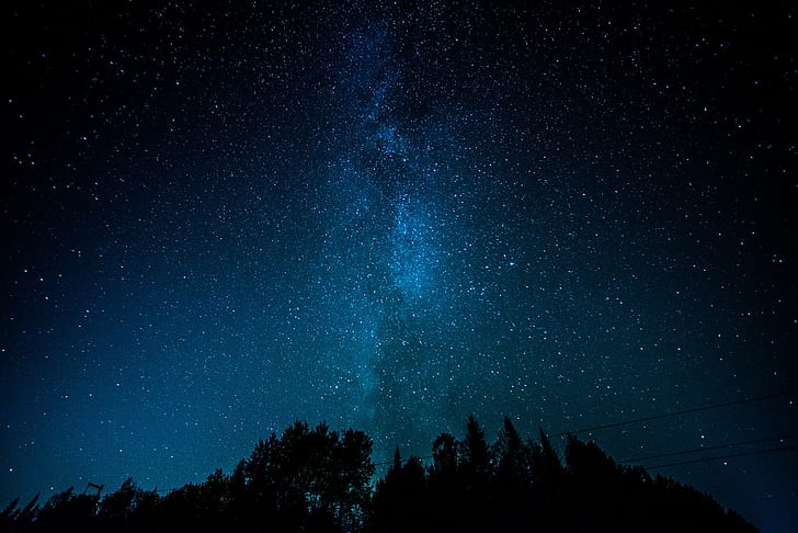 étoiles, paysage, arbres, silhouette, voie lactée, bleu, nuit, ciel, Fond d'écran HD