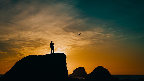 sagoma di un uomo in piedi su roccia, sagoma, rocce, tramonto, mare, uccello, Sfondo HD HD wallpaper