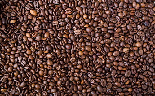 Kahve çekirdekleri, kahverengi kahve çekirdeği çok, yiyecek ve içecek, karanlık, kahverengi, kafe, kahve, enerji, fasulye, içki, içecek, kavrulmuş, aroma, kafein, HD masaüstü duvar kağıdı HD wallpaper