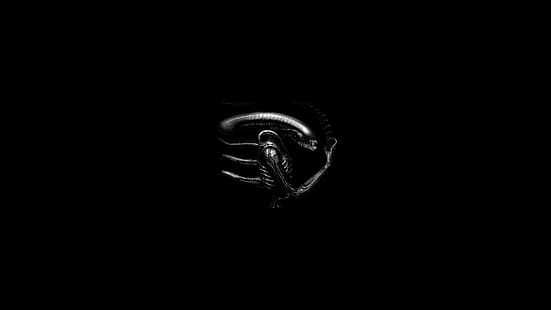 Xenomorph, Alien (film), monochrome, Fond d'écran HD HD wallpaper