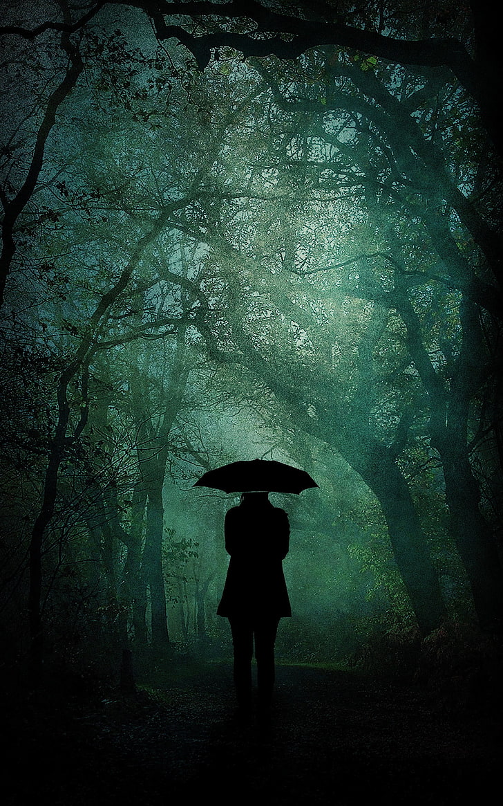 schwarzer Regenschirm, Regenschirm, HD-Hintergrundbild, Handy-Hintergrundbild