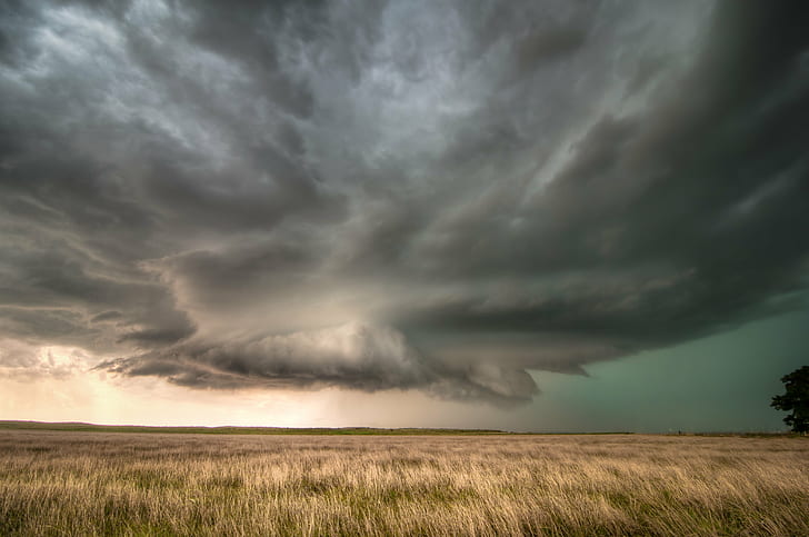 mörka moln över gräs, Business, End, Supercell Thunderstorm, mörka moln, gräs, Texas, storm, landskap, natur, moln - himmel, himmel, molnlandskap, utomhus, väder, landsbygdsscen, gräs, scenics, solnedgång, dramatisk himmel, HD tapet