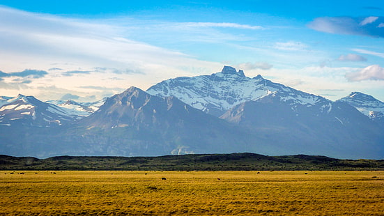 mountains and grass land photography, Mountain, grass land, photography, el calafate, argentina, patagonia, amazing, wild, color, colors, landscape, landscapes, south america, snow, winter, perito moreno, cow, animal, animals, nature, field, fields, outdoor, outdoors, wildlife, hiking, trekking, beautiful, scenics, mountain Peak, mountain Range, HD wallpaper HD wallpaper