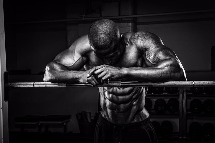 muskeln, pose, weiß und schwarz, bodybuilder, HD-Hintergrundbild