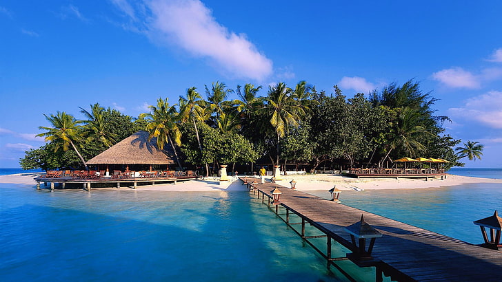 doca de madeira marrom, paisagem, Maldivas, palmeiras, cais, mar, HD papel de parede