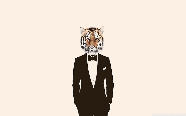 tiger head man wearing tuxedo wallpaper, tiger, humor, HD wallpaper