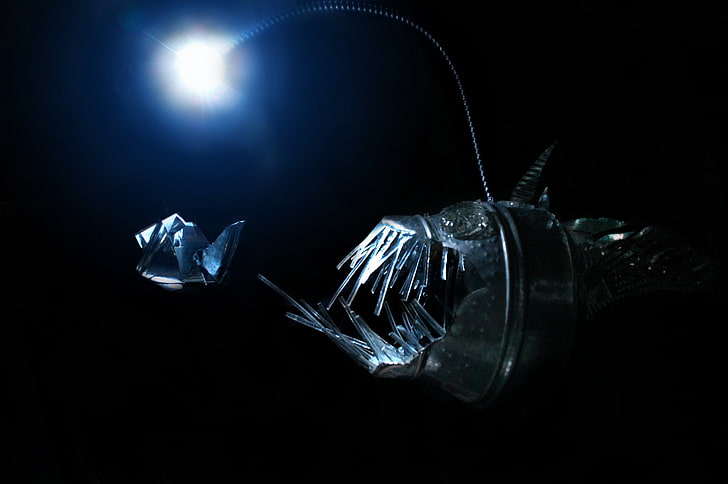 ilustracja srebrna stalowa ryba, żabnica, głębinowe, stworzenie, ryba, Tapety HD