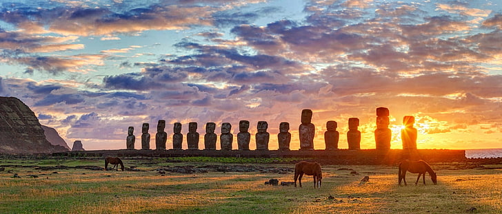 сив каменен плет, Великденски остров, Чили, Moai, статуя, кон, трева, облаци, жълто, зелено, море, Rapa Nui, HD тапет