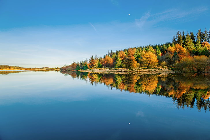 winter, forest, the sky, water, reflection, trees, England, UK, January, reservoir, Devon, Dartmoor national Park, HD wallpaper