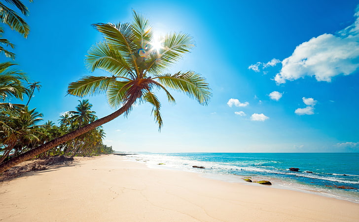 Tropikal güneş, Hindistan cevizi ağacı ve plaj, seyahat, Adaları, okyanus, egzotik, cennet, peyzaj, yaz, rüya, su, tropikal, kum, yaz, lüks, palmiye ağaçları, tatil, HD masaüstü duvar kağıdı