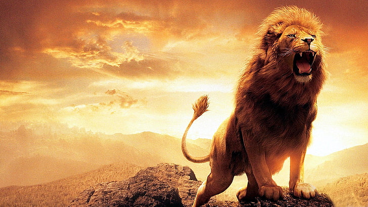 leon, gatto grande, arte, digitale, selvaggio, Sfondo HD