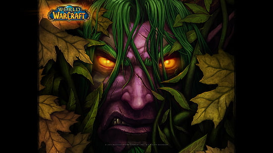 Blizzard Entertainment, Warcraft, World of Warcraft, Малфурион, видеоигры, HD обои HD wallpaper