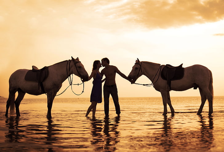 para, koń, woda, zachód słońca, całowanie, miłość, morze, Tapety HD