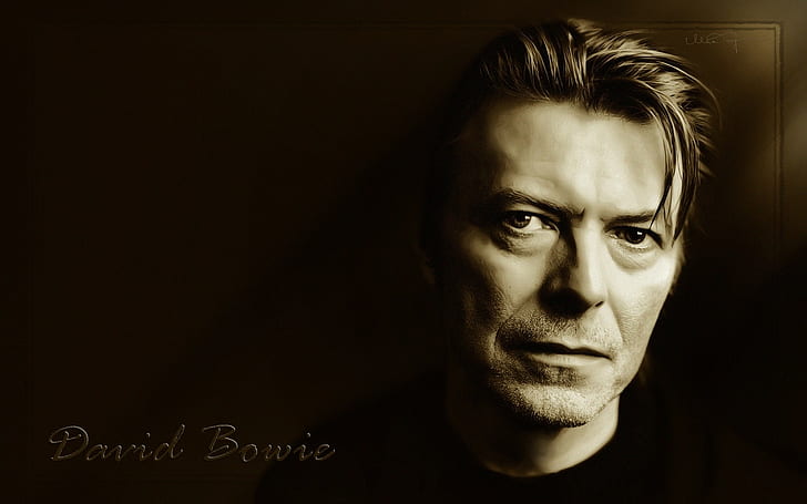 David Bowie, musician, monochrome, looking at viewer, HD wallpaper
