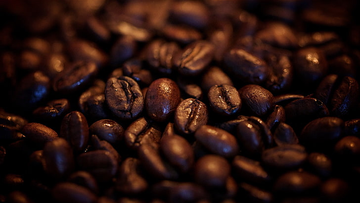 coffee beans, coffee beans, HD wallpaper