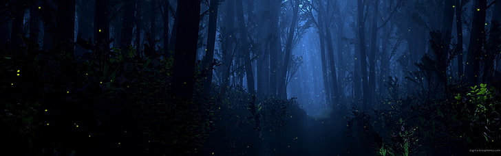 skog, mörk, HD tapet