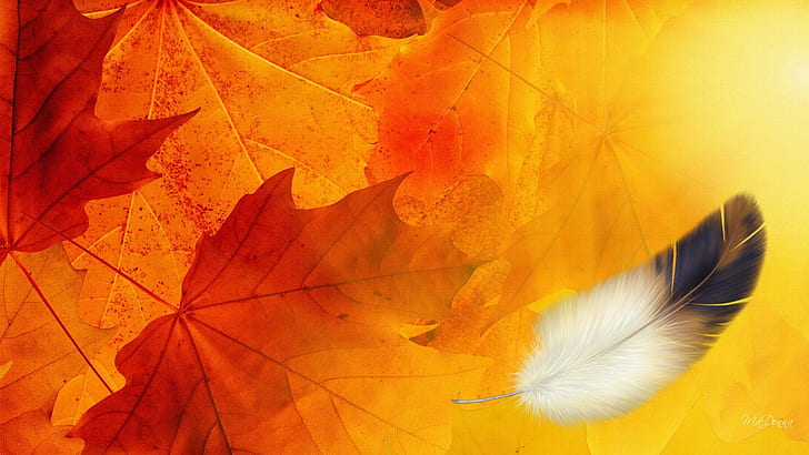 Remnants Of Summer, firefox persona, yellow, orange, feather, fall, leaves, colors, gold, autumn, 3d and abstract, HD wallpaper