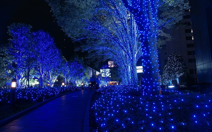 blå LED-trädgårdsljus, stad, stadsbild, blå, lampor, HD tapet