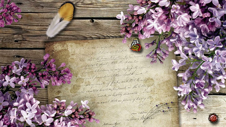 Lovely Lilacs, brown paper and purple flowers, firefox persona, vintage, old letter, letter, butterfly, script feather, paper, lilacs, butterflies, HD wallpaper