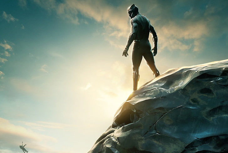 Black Panther 2018 Movie Still, HD wallpaper