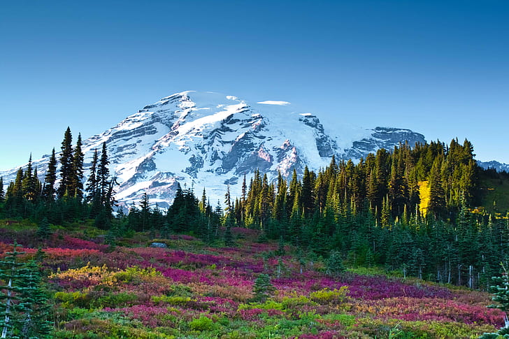 Mount Adams, 4K, Mount Rainier National Park, HD wallpaper