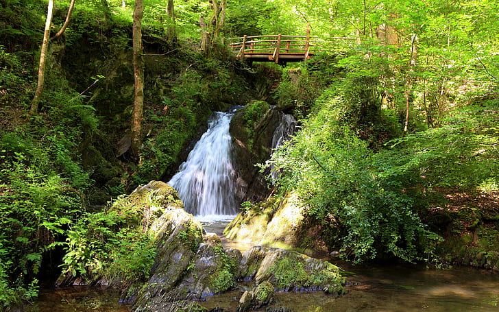Kleiner Wasserfall im Wald, lebende Wasserfälle, klein, Wasserfall, Wald, HD-Hintergrundbild