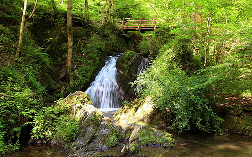 Pequeña cascada en el bosque, cascadas vivas, pequeña, cascada, bosque, Fondo de pantalla HD HD wallpaper