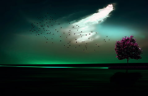 árbol hojeado púrpura debajo del cielo verde papel pintado digital, ilustraciones, arte digital, Fondo de pantalla HD HD wallpaper