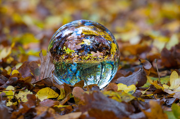 прозрачный стеклянный шар, шарик, стекло, сфера, осень, листва, HD обои
