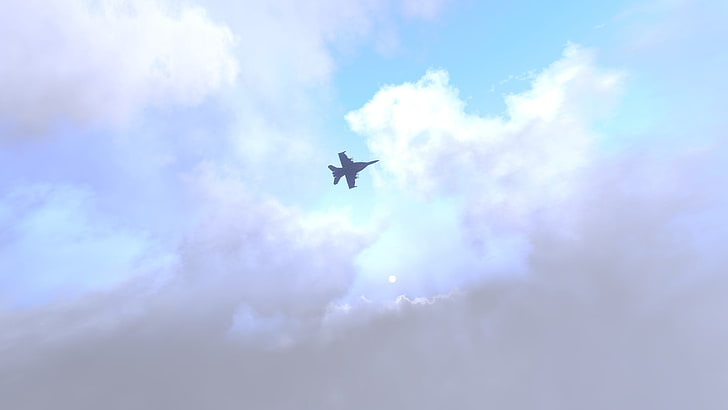 burung hitam dan putih dengan burung putih, FA-18 Hornet, Arma 3, jet fighter, sky, Wallpaper HD